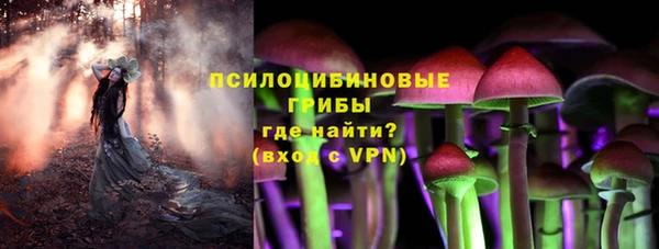 дживик Абаза